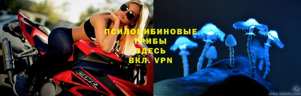 кокс Баксан